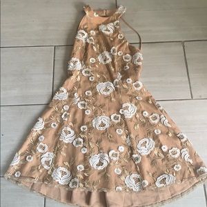 Dress The Population Mini Dress